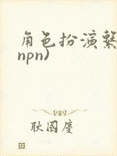 角色扮演系统(npn)