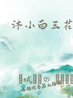 沐小白三花