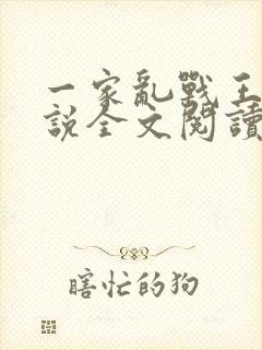 一家乱战王芳小说全文阅读