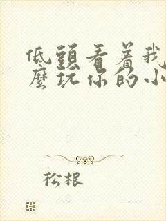 低头看着我是怎么玩你的小说