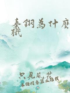 秦钢为什么被解职