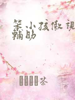 笨小孩傲视遮天辅助