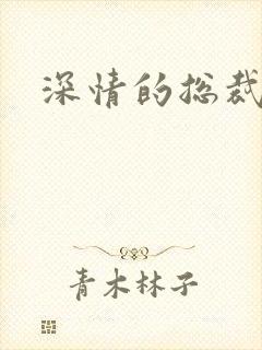 深情的总裁儿子