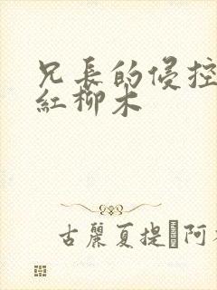 兄长的侵控by红柳木