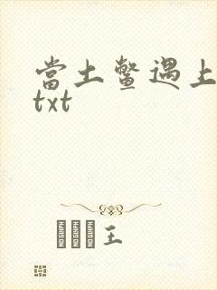 当土鳖遇上海龟txt