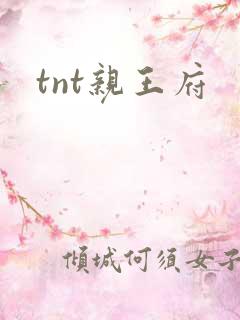 tnt亲王府