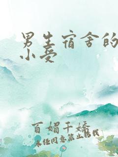 男生宿舍的公共小受