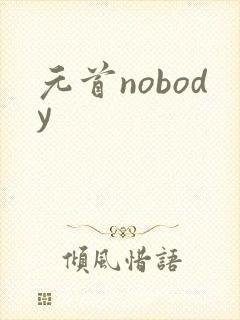 元首nobody