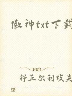 傲神txt下载