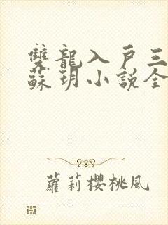 双龙入户三人行苏玥小说全文阅读