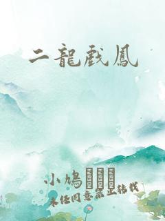 二龙戏凤