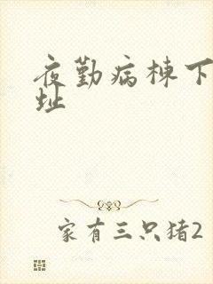 夜勤病栋下载地址