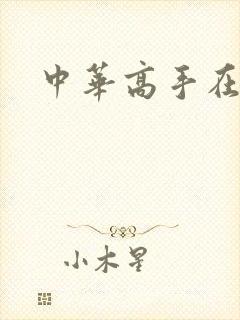 中华高手在异世