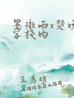 墨微雨x楚晚宁客栈肉