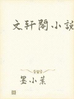 文轩阁小说网