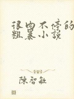 很肉不停的做很粗暴小说