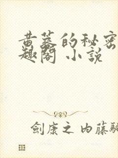 黄蓉的秘密 笔趣阁 小说