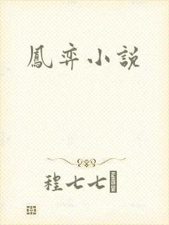 凤弈小说