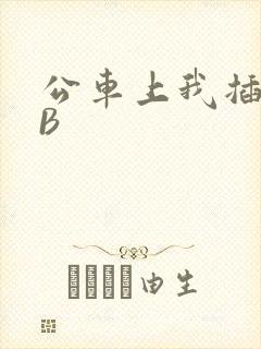 公车上我插上骚B