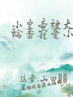 小皇帝被大臣们轮番宠爱小说