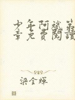 少年阿斌第13章免费阅读