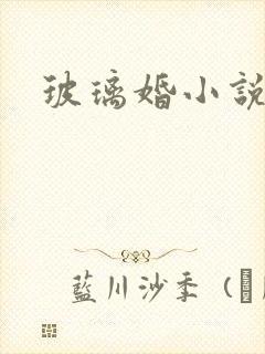 玻璃婚小说
