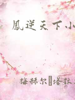 凤逆天下小说