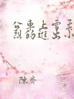 公车上雪柔被猛烈的进出小说