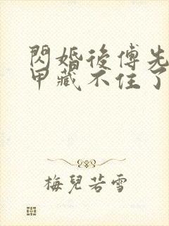 闪婚后傅先生马甲藏不住了免费阅读