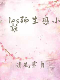 les师生恋小说