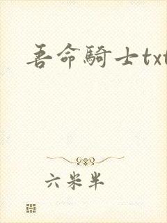 吾命骑士txt