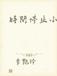 时间停止小说