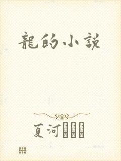 龙的小说