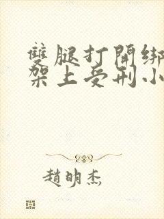 双腿打开绑在刑架上受刑小说