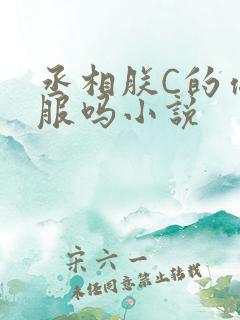 丞相朕C的你舒服吗小说