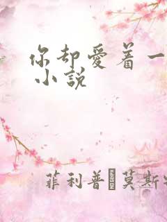 你却爱着一个他 小说