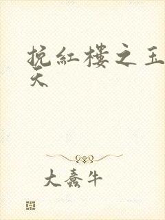 挽红楼之玉舞九天