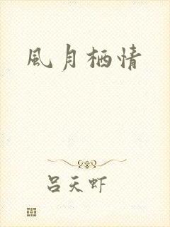 风月栖情