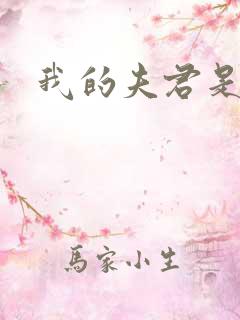 我的夫君是冥王