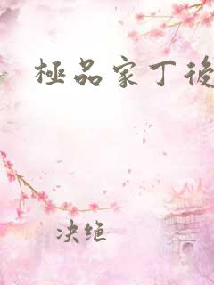 极品家丁后传