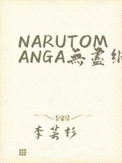 NARUTOMANGA无尽纲手
