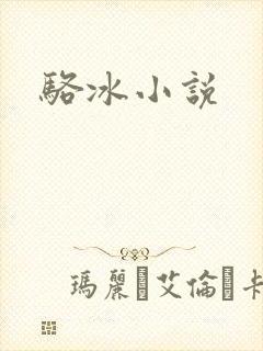 骆冰小说