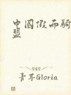 中国假面骑士联盟