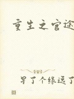 重生之官途辉煌