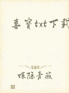 喜宝txt下载
