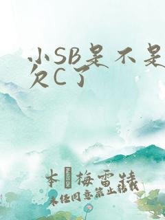 小SB是不是又欠C了