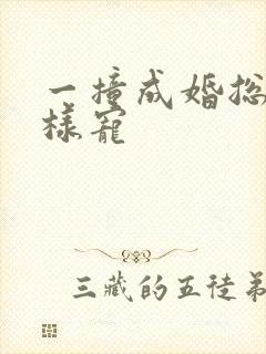 一撞成婚总裁花样宠