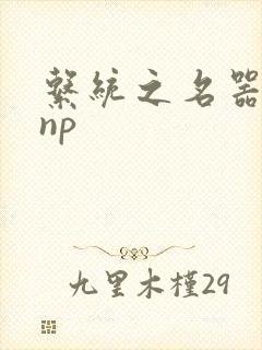 系统之名器攻略np