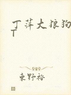 丁萍大狼狗TXT