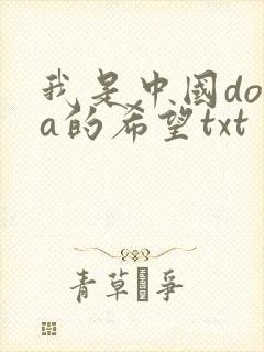 我是中国dota的希望txt